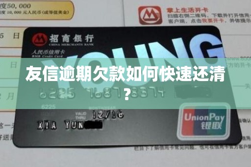 友信逾期欠款如何快速还清？