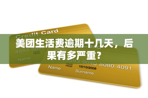 美团生活费逾期十几天，后果有多严重？