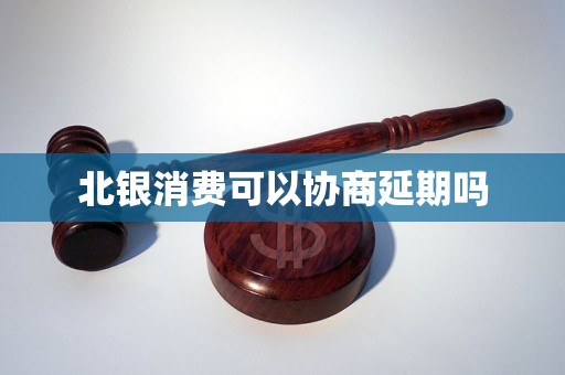 北银消费可以协商延期吗