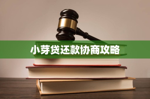 小芽贷还款协商攻略