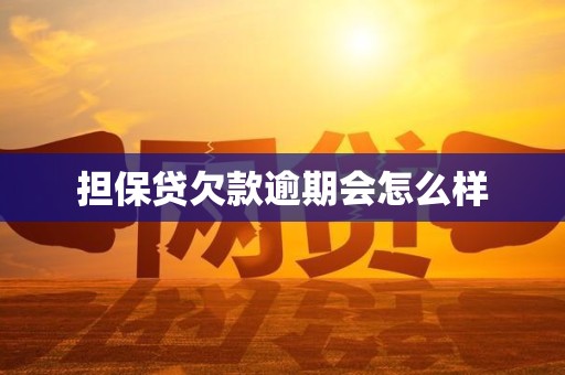 担保贷欠款逾期会怎么样