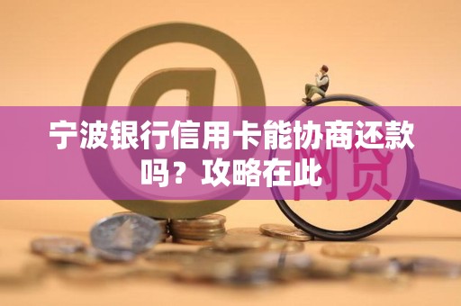 宁波银行信用卡能协商还款吗？攻略在此