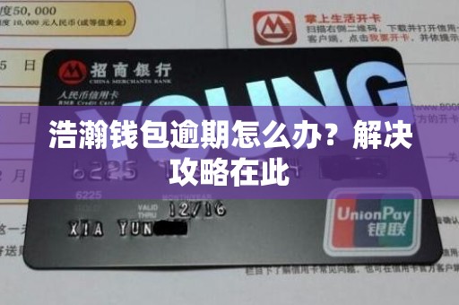 浩瀚钱包逾期怎么办？解决攻略在此