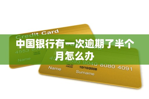 中国银行有一次逾期了半个月怎么办