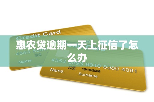 惠农贷逾期一天上征信了怎么办 惠农贷逾期一天上征信了怎么办