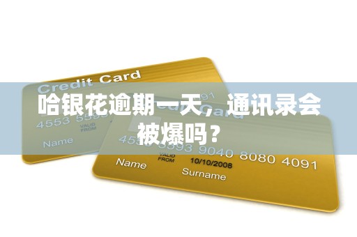 哈银花逾期一天,通讯录会被爆吗? 哈银花逾期一天,通讯录会被爆吗?