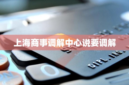 上海商事调解中心说要调解