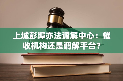 上城彭埠亦法调解中心：催收机构还是调解平台？