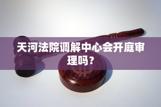 天河法院调解中心会开庭审理吗？