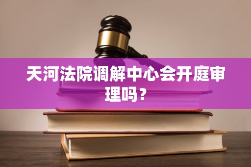 天河法院调解中心会开庭审理吗？
