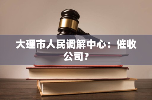 大理市人民调解中心：催收公司？