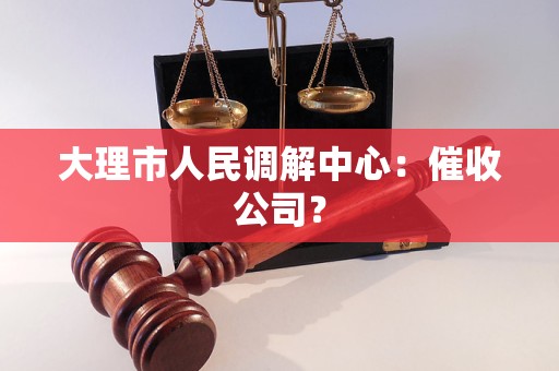 大理市人民调解中心：催收公司？