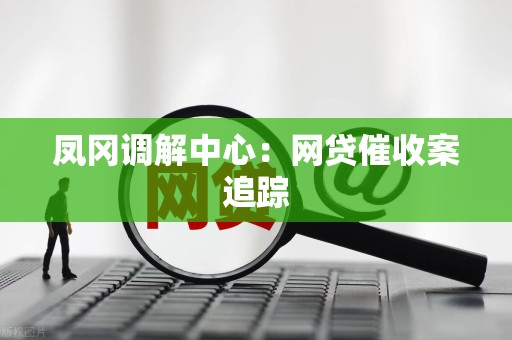凤冈调解中心：网贷催收案追踪