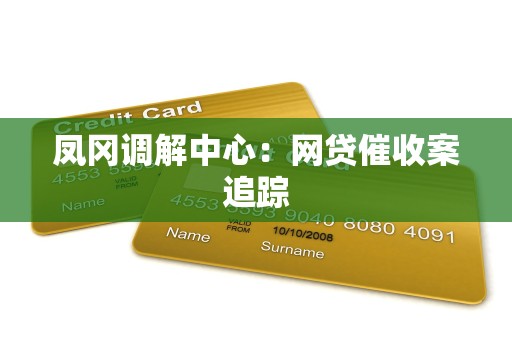 凤冈调解中心：网贷催收案追踪