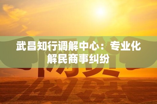 武昌知行调解中心:专业化解民商事纠纷 武昌知行调解中心:专业化解民商事纠纷