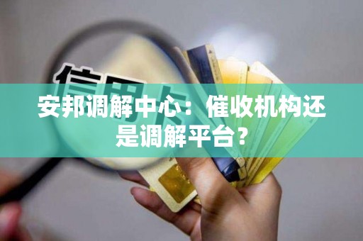 安邦调解中心：催收机构还是调解平台？