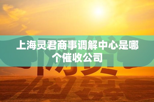 上海灵君商事调解中心是哪个催收公司 上海灵君商事调解中心是哪个催收公司