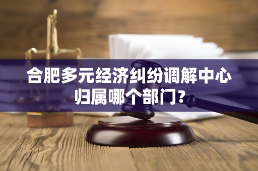 合肥多元经济纠纷调解中心归属哪个部门？