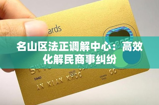 名山区法正调解中心：高效化解民商事纠纷