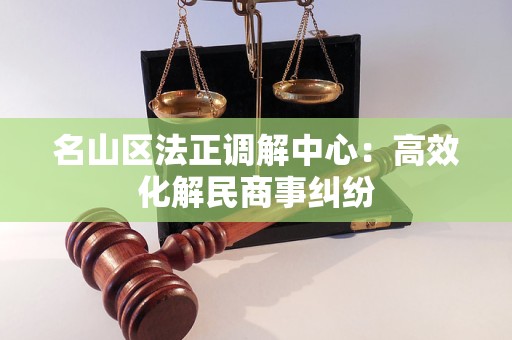名山区法正调解中心：高效化解民商事纠纷