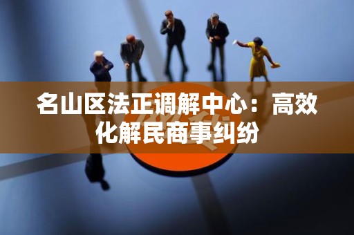 名山区法正调解中心：高效化解民商事纠纷