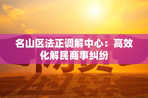 名山区法正调解中心：高效化解民商事纠纷