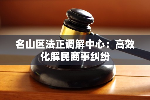 名山区法正调解中心：高效化解民商事纠纷