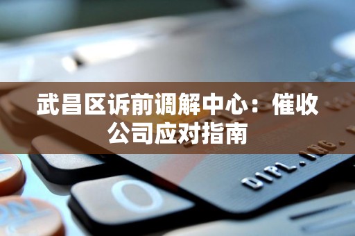 武昌区诉前调解中心：催收公司应对指南