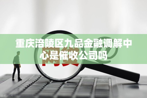 重庆涪陵区九品金融调解中心是催收公司吗