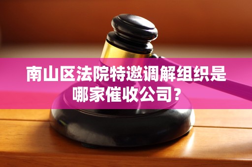 南山区法院特邀调解组织是哪家催收公司？