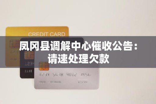 凤冈县调解中心催收公告：请速处理欠款