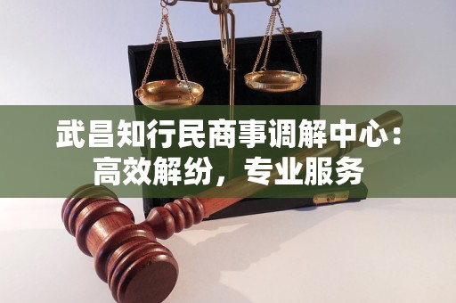 武昌知行民商事调解中心：高效解纷，专业服务