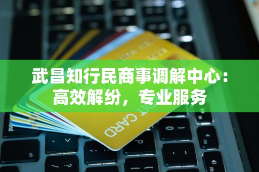 武昌知行民商事调解中心：高效解纷，专业服务