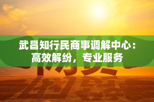 武昌知行民商事调解中心：高效解纷，专业服务