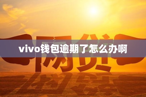 vivo钱包逾期了怎么办啊