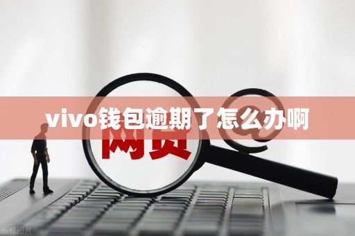 vivo钱包逾期了怎么办啊