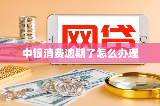 中银消费逾期了怎么办理