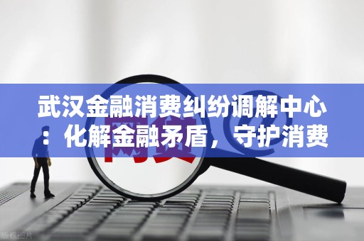 武汉金融消费纠纷调解中心：化解金融矛盾，守护消费权益
