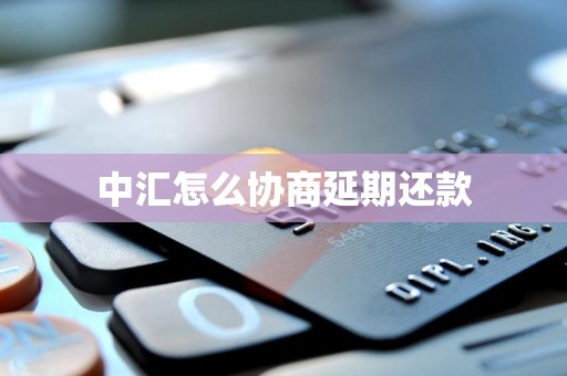 中汇怎么协商延期还款