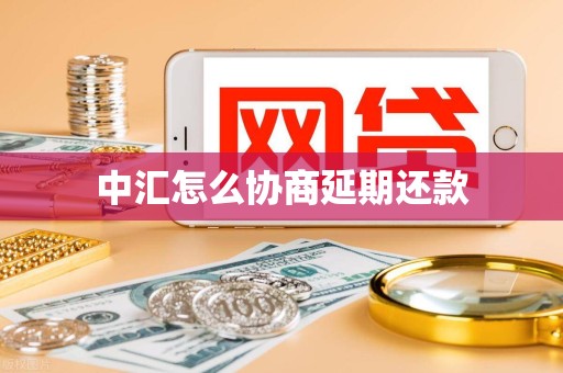 中汇怎么协商延期还款