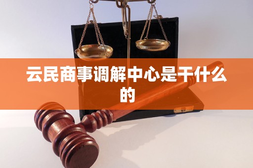 云民商事调解中心是干什么的 云民商事调解中心是干什么的