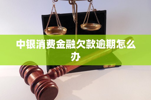 中银消费金融欠款逾期怎么办