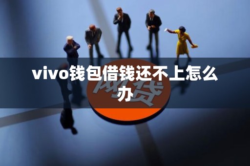 vivo钱包借钱还不上怎么办