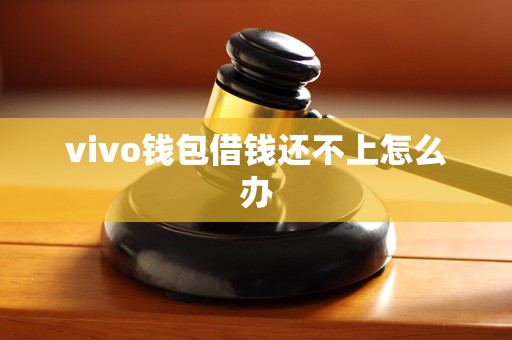 vivo钱包借钱还不上怎么办