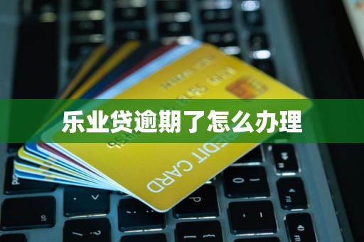 乐业贷逾期了怎么办理