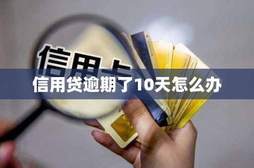 信用贷逾期了10天怎么办 信用贷逾期了10天怎么办