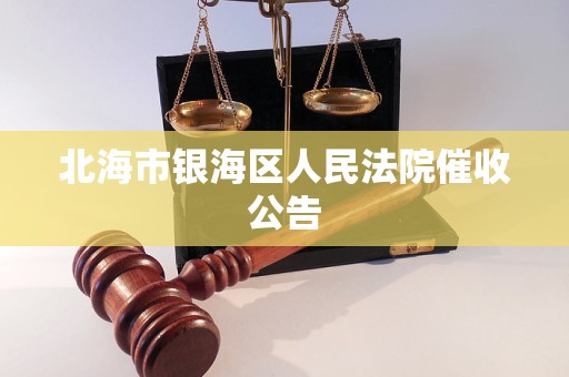 北海市银海区人民法院催收公告