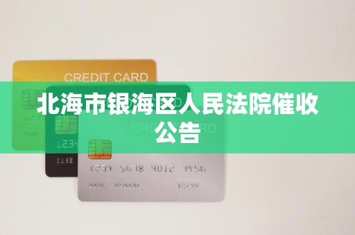北海市银海区人民法院催收公告