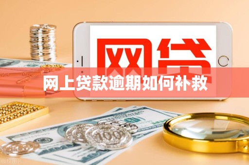 网上贷款逾期如何补救 网上贷款逾期如何补救