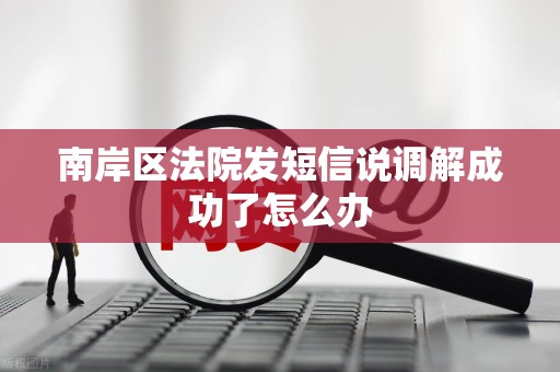 南岸区法院发短信说调解成功了怎么办